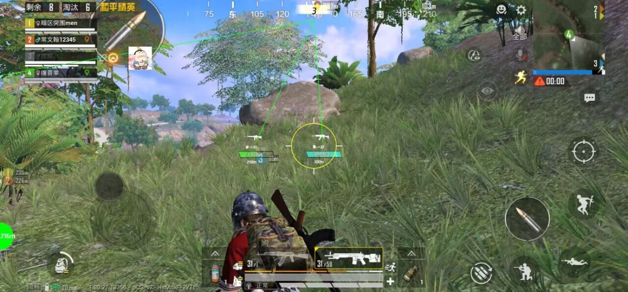 海岛晚风遇艾尔：和平手游直装安卓插件，陪